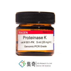 501pk蛋白酶K溶液